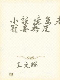 小说 亿万老公宠妻无度