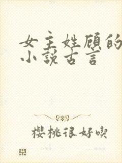 女主姓顾的重生小说古言