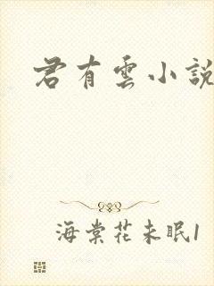 君有云小说结局