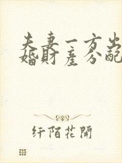 夫妻一方出轨离婚财产分配判决