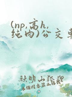 (np,高h,纯肉)公交车