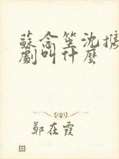 苏念笙沈携西短剧叫什么