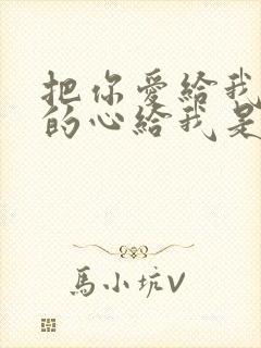 把你爱给我把你的心给我是什么歌