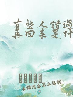 有些人错过就不再回来是什么歌