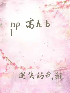 np 高h bl