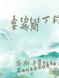 秦功txt下载笔趣阁