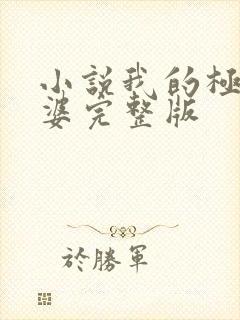 小说我的极品老婆完整版