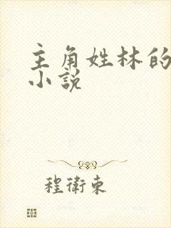 主角姓林的召唤小说