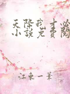 天降我才必有用小说免费阅读