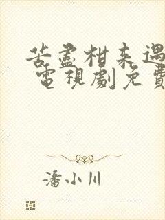 苦尽柑来遇见你 电视剧免费观看在线播放