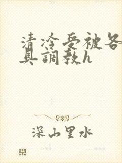 清冷受被各种道具调教h