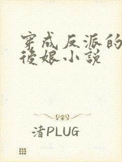 穿成反派的恶毒后娘小说