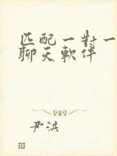 匹配一对一语音聊天软件