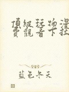 顶级玩物漫画免费观看下拉式六