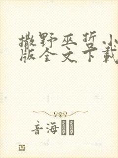 撒野巫哲小说正版全文下载