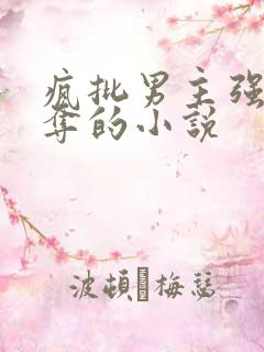 疯批男主强取豪夺的小说