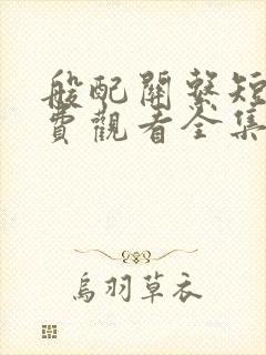 般配关系短剧免费观看全集在线播放