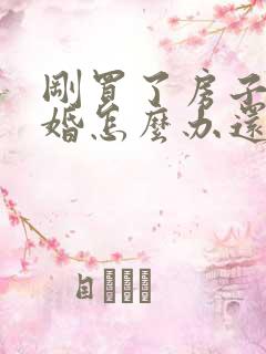 刚买了房子要离婚怎么办还有贷款