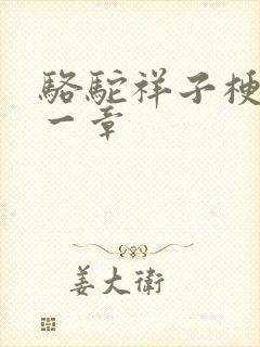 骆驼祥子梗概第一章