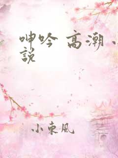 呻吟 高潮 小说