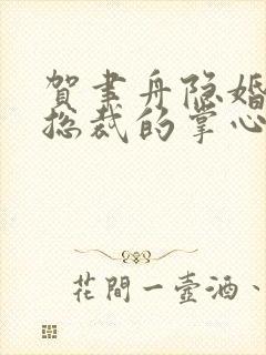 贺聿舟隐婚曝光总裁的掌心宠逃婚了全本阅