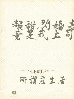 超甜,闪婚老公竟是我上司免费阅读