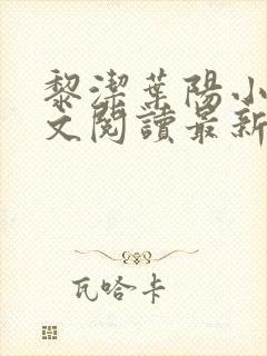 黎洁叶阳小说全文阅读最新章节