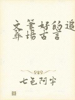 文笔好的追妻火葬场古言