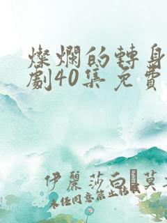 灿烂的转身电视剧40集免费观看