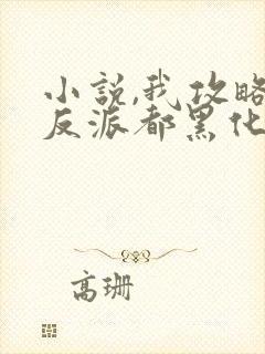 小说,我攻略的反派都黑化了