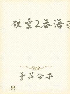 破云2吞海淮上