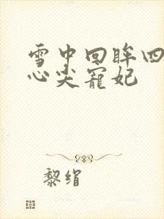 雪中回眸四爷的心尖宠妃