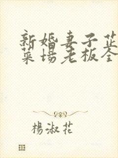 新婚妻子芷珊和菜场老板全文阅读