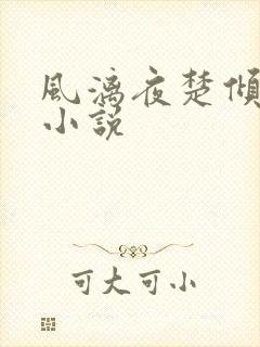 风漓夜楚倾歌 小说