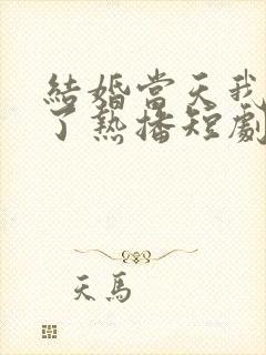 结婚当天我后悔了热播短剧