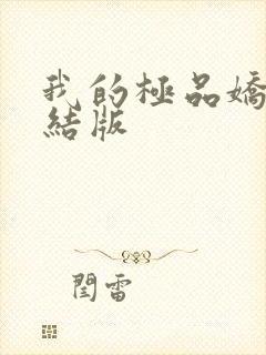 我的极品娇妻完结版