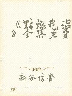 《点燃我温暖你》全集免费观看