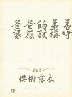 爸爸的弟弟的老婆应该称呼什么