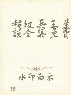 超级兵王叶谦小说全集免费阅读