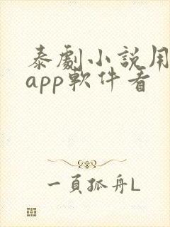 泰剧小说用什么app软件看