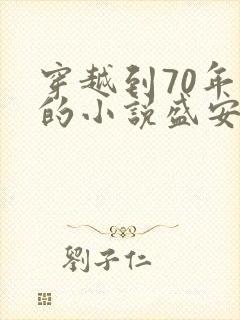 穿越到70年代的小说盛安宁免费阅读