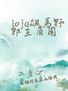 jojo飙马野郎主角团