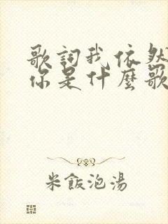 歌词我依然在等你是什么歌