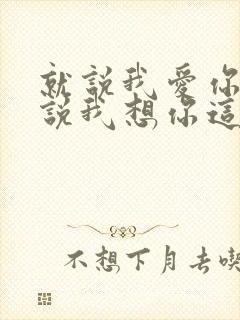 就说我爱你,就说我想你这首歌是什么歌