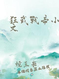 狂武战帝小说全文