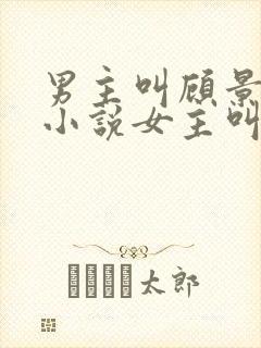 男主叫顾景琛的小说女主叫晚晚