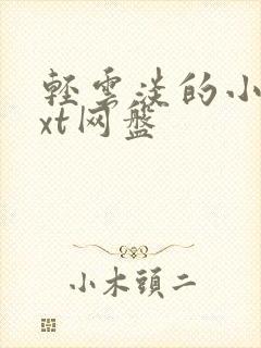 轻云淡的小说txt网盘