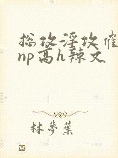 总攻淫攻催眠向np高h辣文