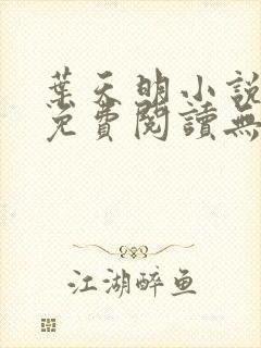 叶天明小说全文免费阅读无弹窗最新章节