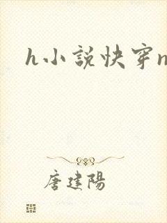 h小说快穿np